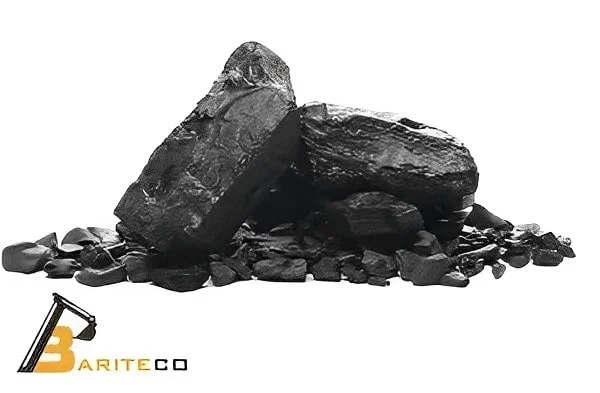 Sedimentary black shale