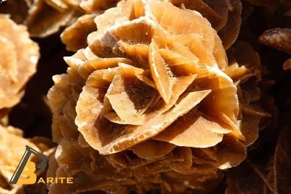 barite rose crystal